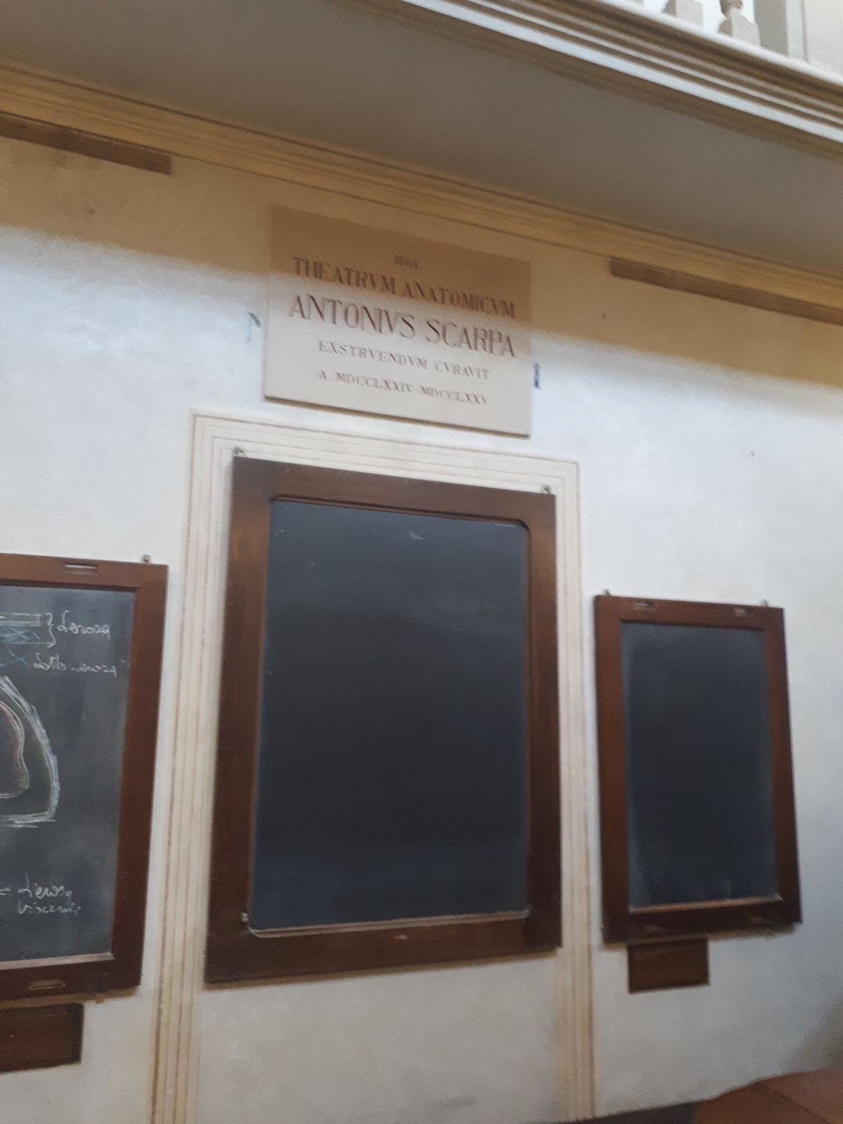 Anatomical Theatre of Modena by Chiara Ianeselli - 04.jpg